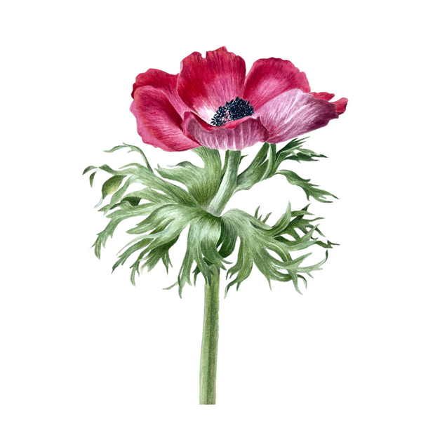 Instructor Artwork 4