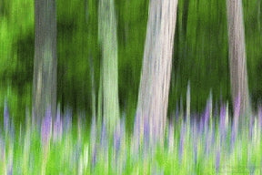 Instructor Artwork 4