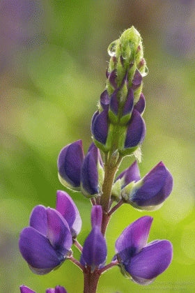 Instructor Artwork 2