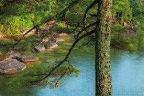 Instructor Artwork 3