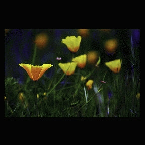 Instructor Artwork 1