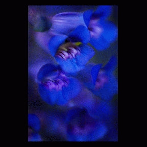 Instructor Artwork 3