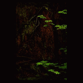 Instructor Artwork 2