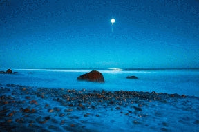 Instructor Artwork 4