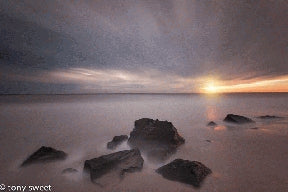 Instructor Artwork 4