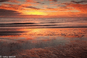 Instructor Artwork 3