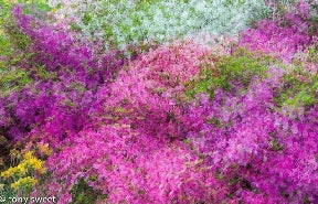 Instructor Artwork 2