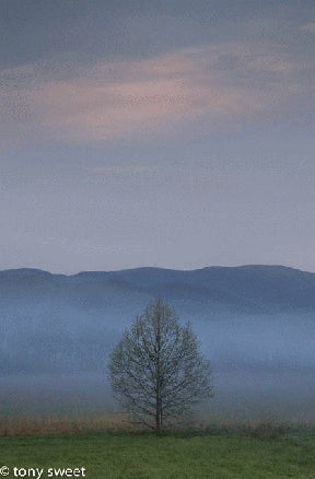 Instructor Artwork 1