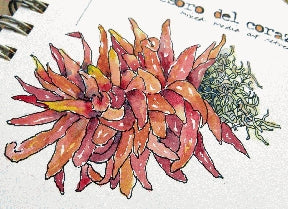 Instructor Artwork 2