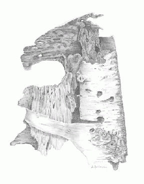 Instructor Artwork 1