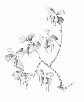 Instructor Artwork 2