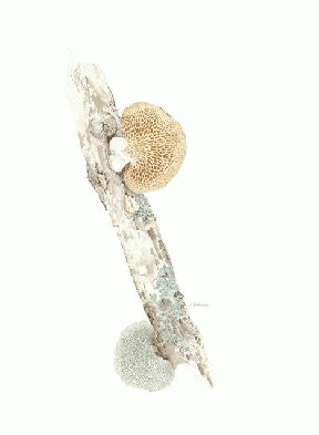 Instructor Artwork 3