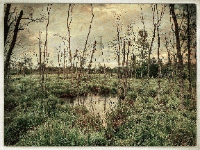 Instructor Artwork 3