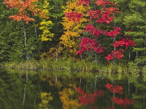 Instructor Artwork 4