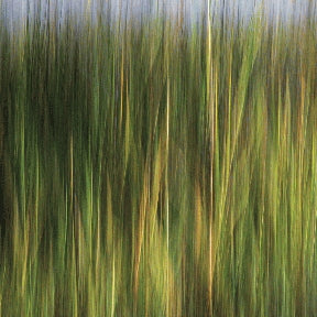 Instructor Artwork 2