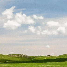 Instructor Artwork 4