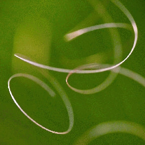 Instructor Artwork 3