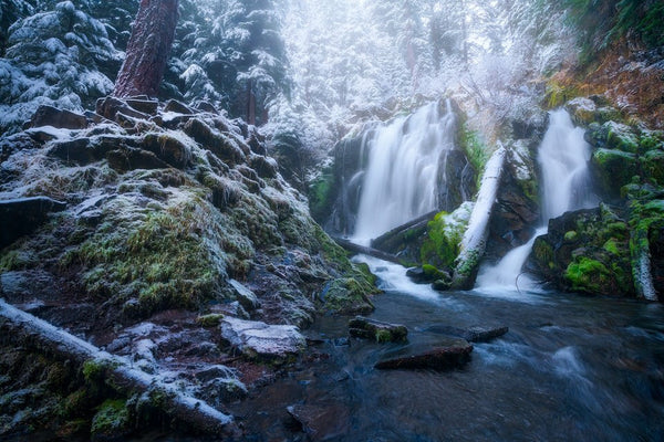 Instructor Artwork 2