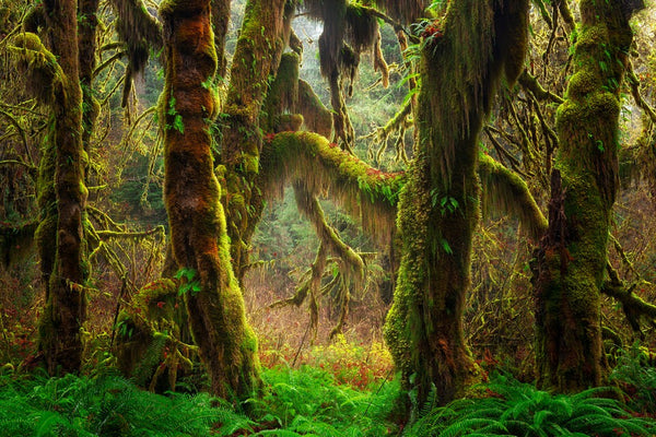 Instructor Artwork 1