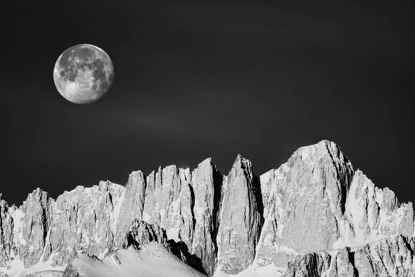 Instructor Artwork 2