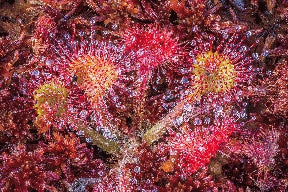 Instructor Artwork 4