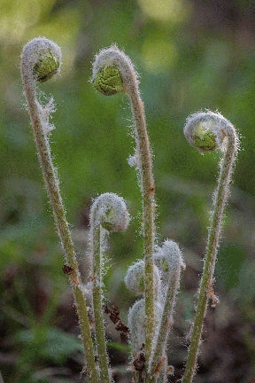 Instructor Artwork 3