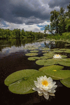 Instructor Artwork 2