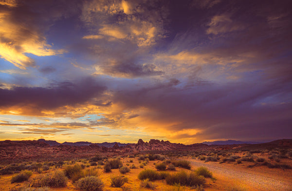 Instructor Artwork 2