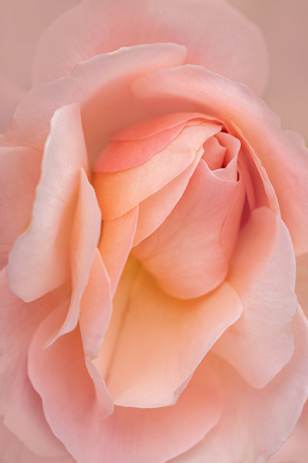 Instructor Artwork 4