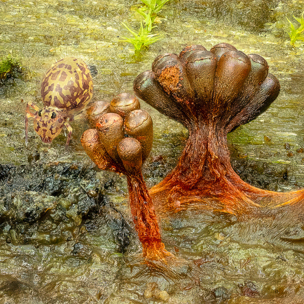 Instructor Artwork 1