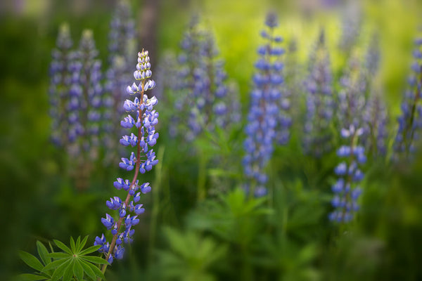 Instructor Artwork 2