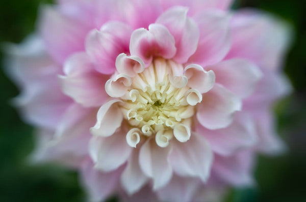 Instructor Artwork 3