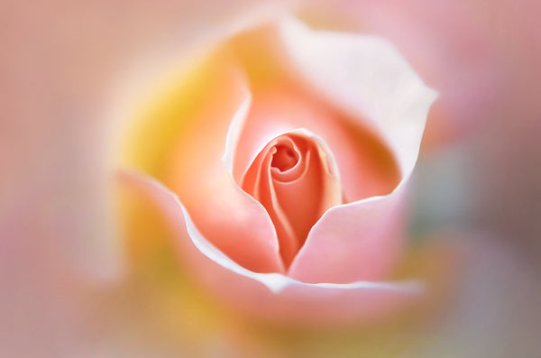 Instructor Artwork 4