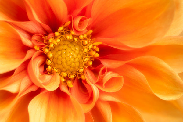 Instructor Artwork 1