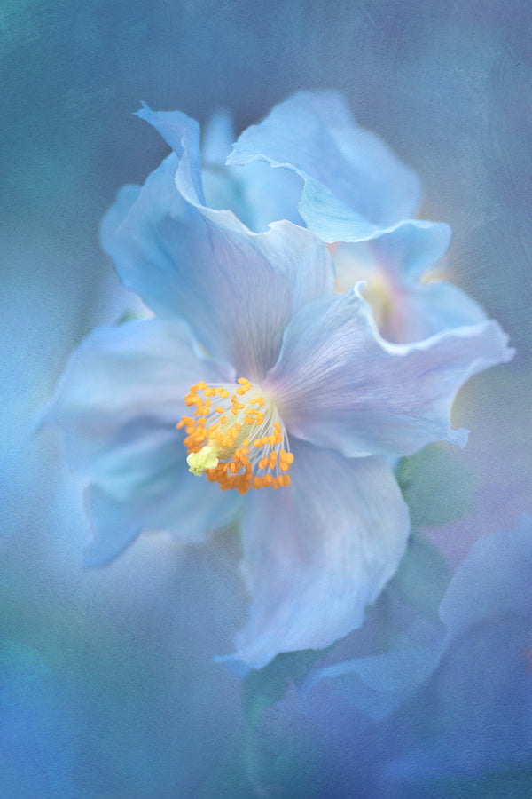 Instructor Artwork 1