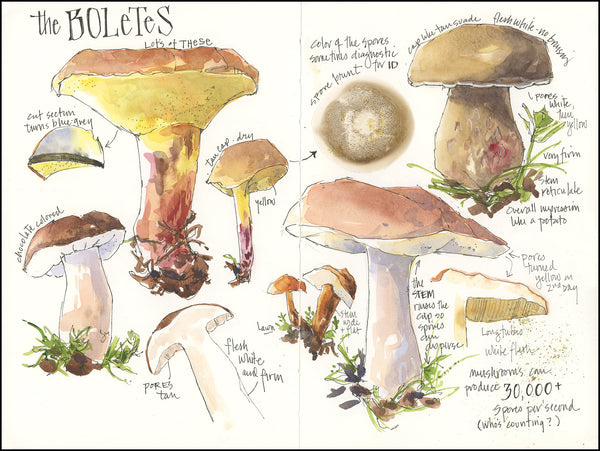 Instructor Artwork 3