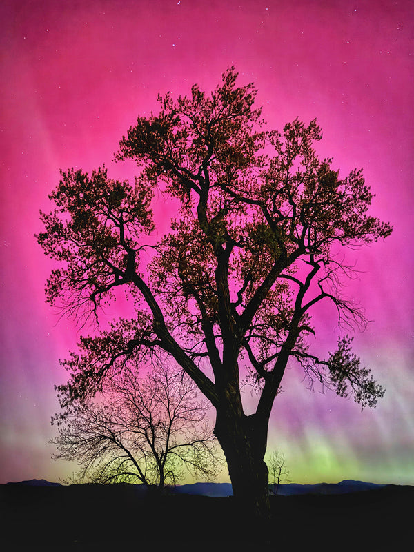 Instructor Artwork 1