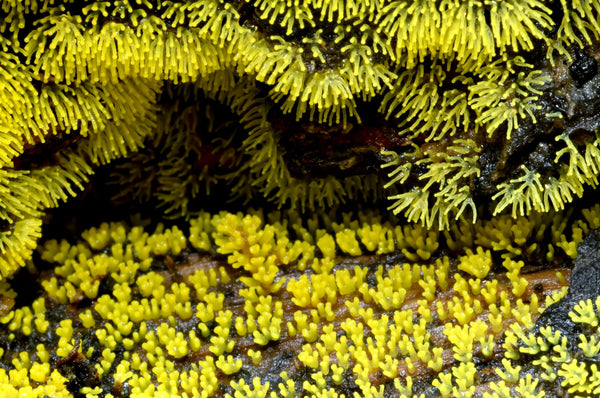 Instructor Artwork 1