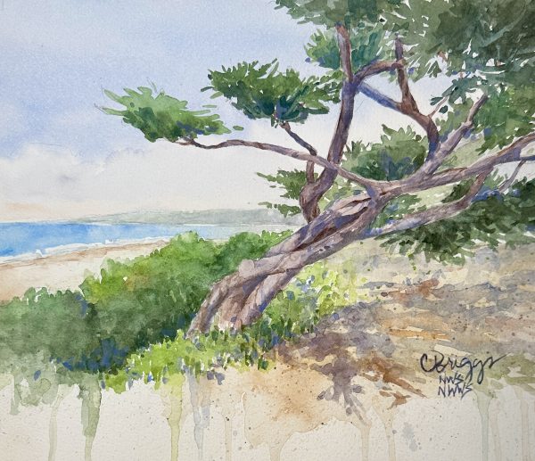 Instructor Artwork 4