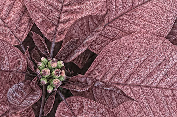 Instructor Artwork 3