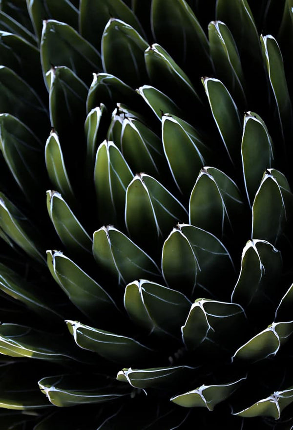 Instructor Artwork 4