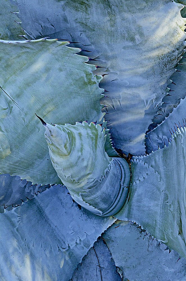 Instructor Artwork 2