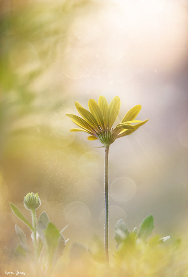 Instructor Artwork 1