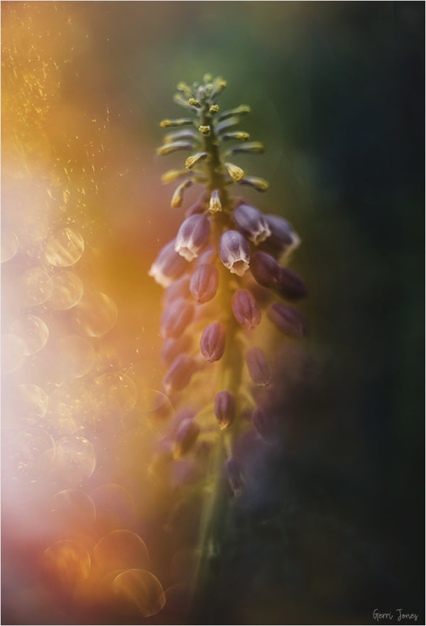 Instructor Artwork 2