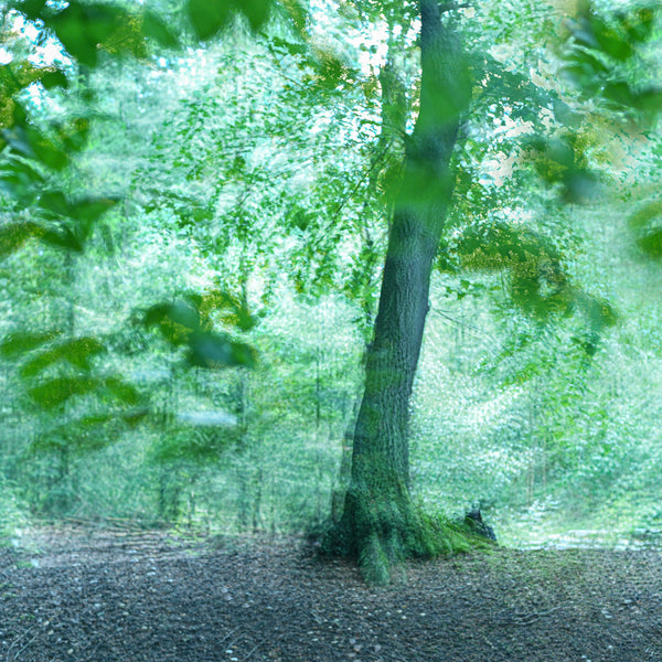 Instructor Artwork 1