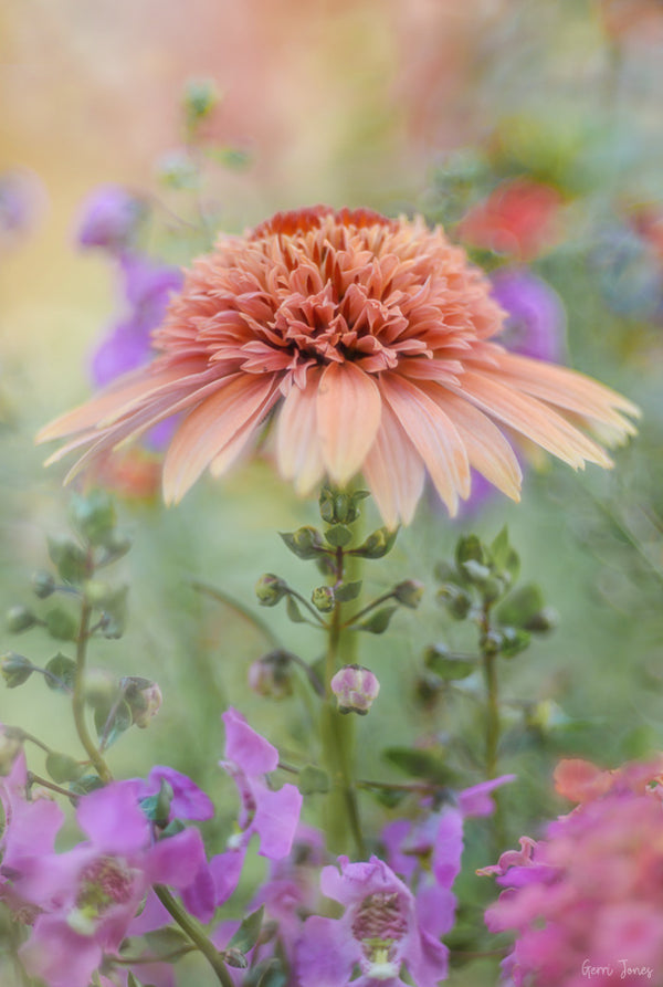 Instructor Artwork 4