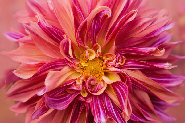 Instructor Artwork 2