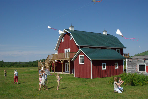 Instructor Artwork 4