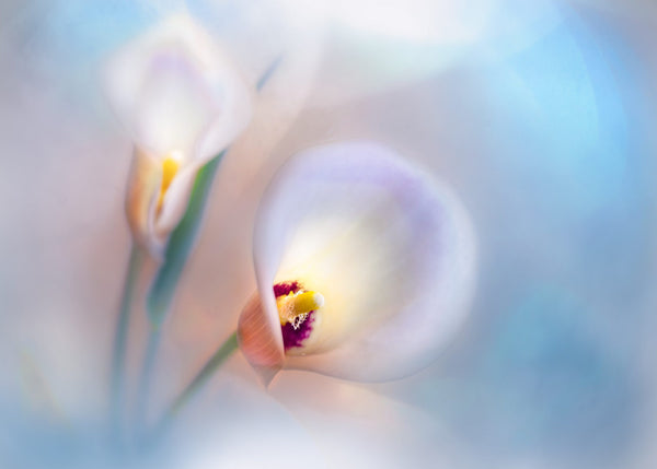 Instructor Artwork 1