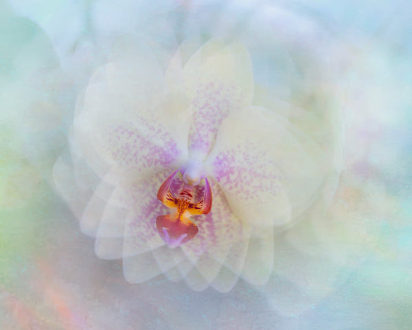 Instructor Artwork 3